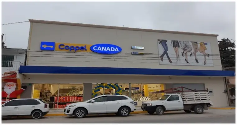 Tiendas Coppel 11