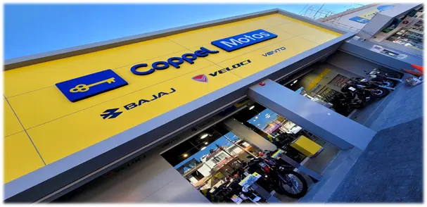 Tiendas Coppel 8